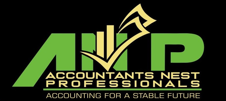 Accounting Firm Website